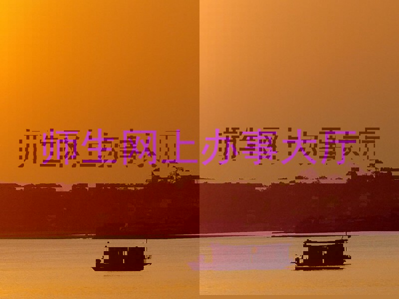 师生网上办事大厅