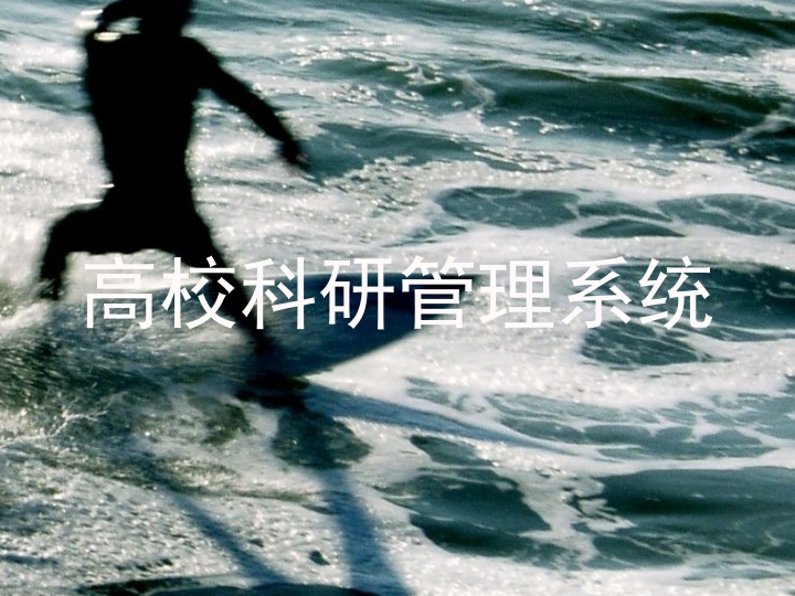 高校科研管理系统