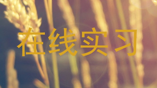 在线实习