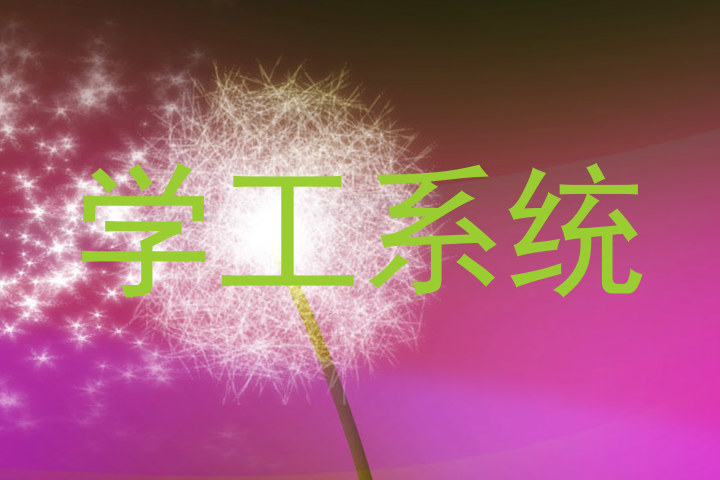 学工系统