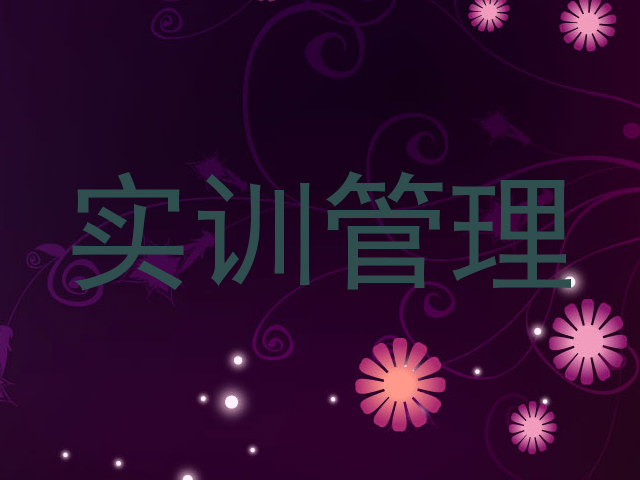 实训管理