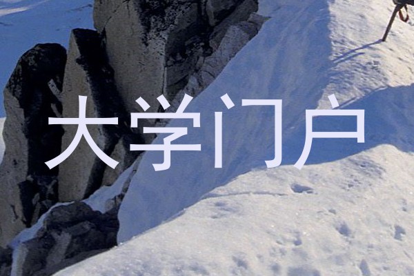 大学门户