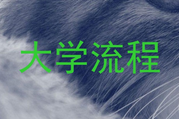 大学流程