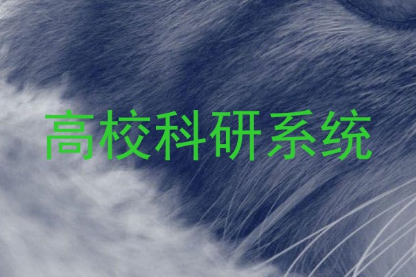 高校科研系统