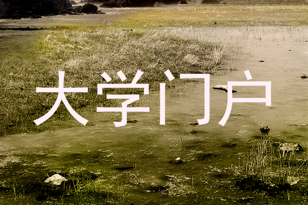大学门户