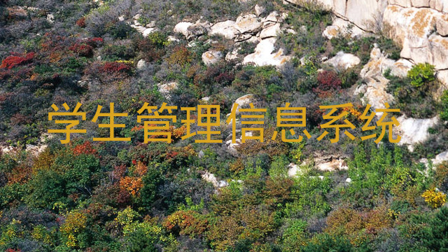 学生管理信息系统