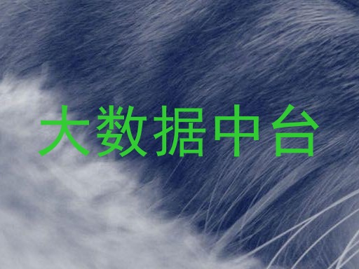 大数据中台