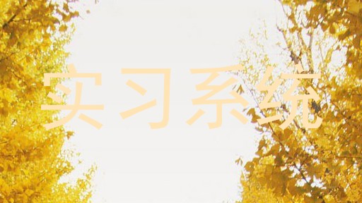 实习系统