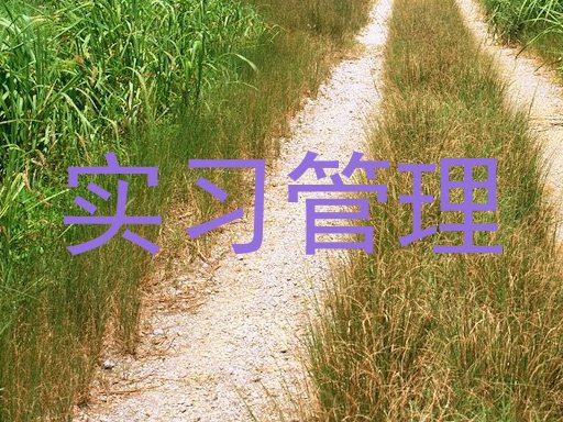 实习管理