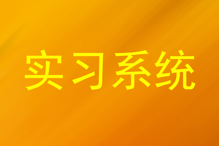实习系统