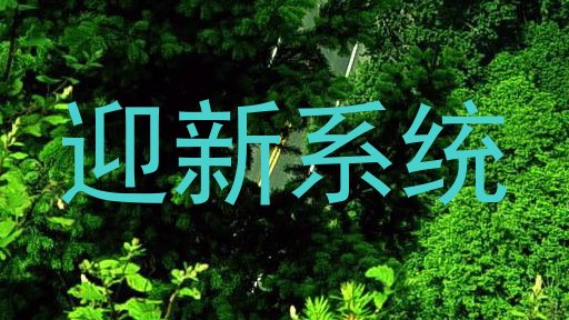 迎新系统