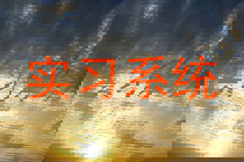 实习系统