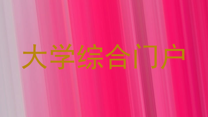 大学综合门户