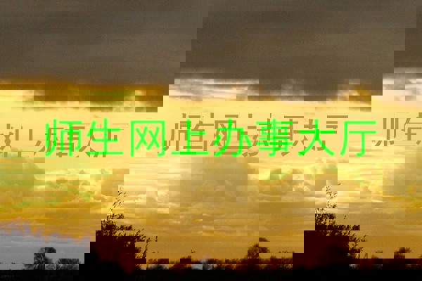 师生网上办事大厅