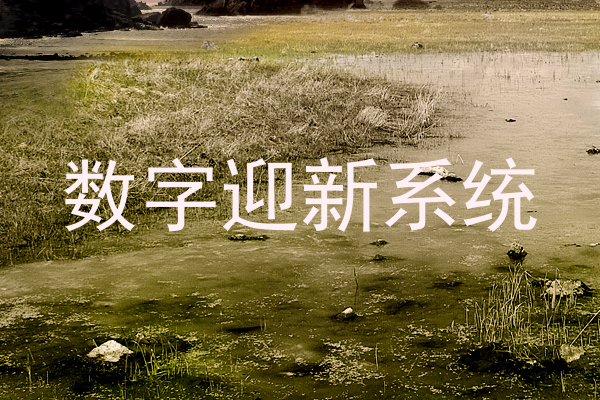 数字迎新系统