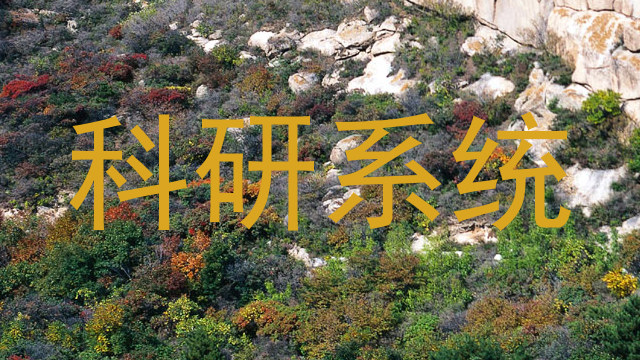 科研系统