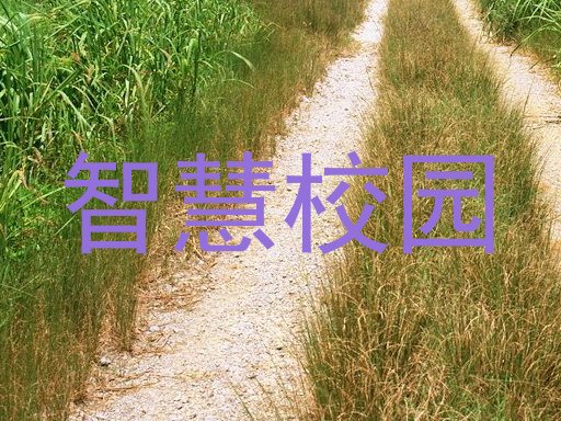 智慧校园