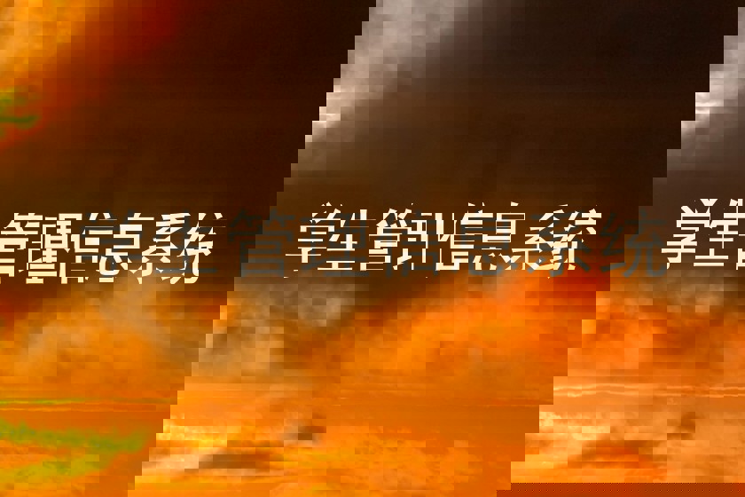 学生管理信息系统