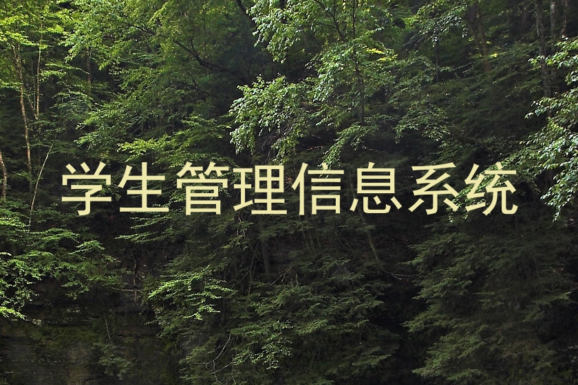 学生管理信息系统