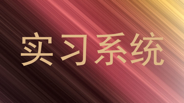 实习系统