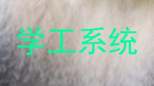 学工系统