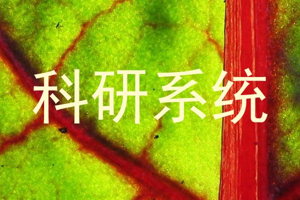 科研系统