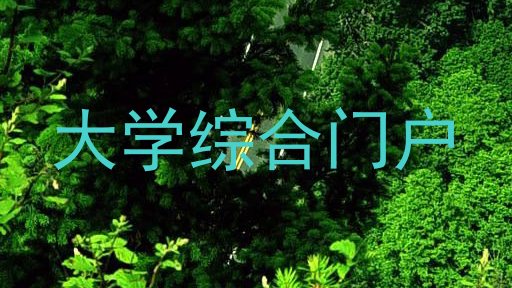 大学综合门户
