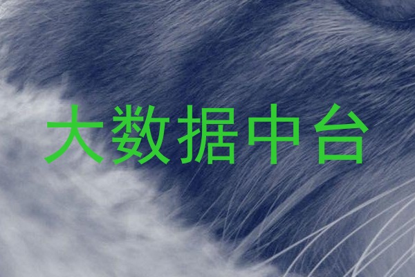 大数据中台
