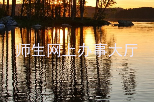 师生网上办事大厅