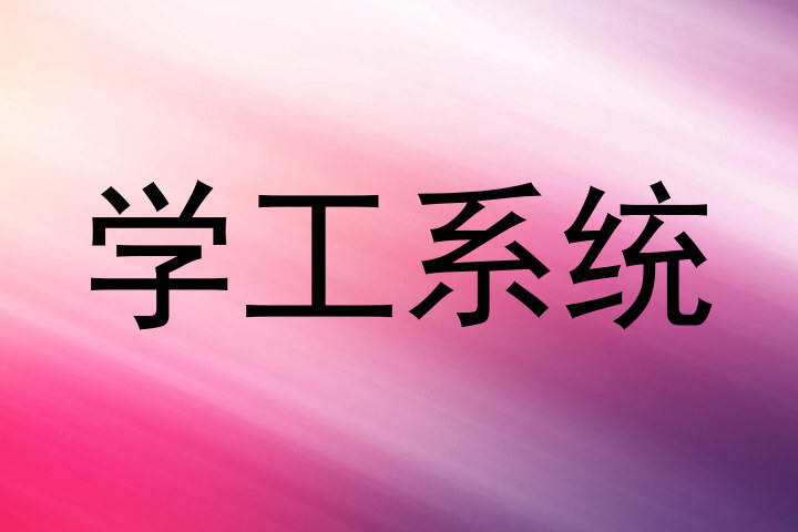 学工系统