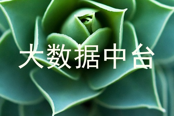 大数据中台