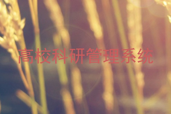 高校科研管理系统