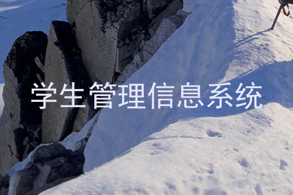 学生管理信息系统