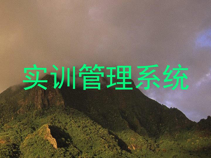 实训管理系统