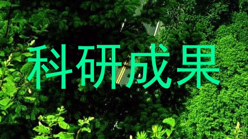 科研成果