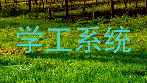 学工系统