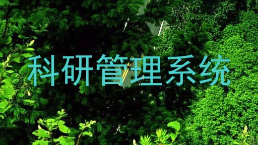 科研管理系统