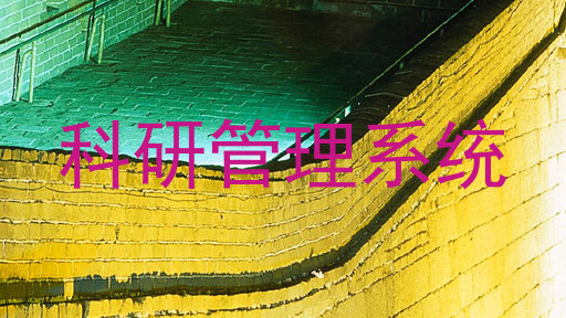 科研管理系统