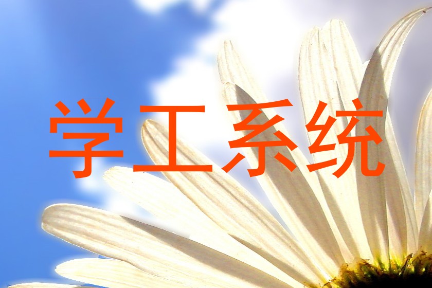学工系统