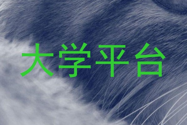 大学平台
