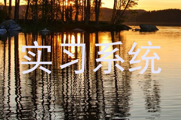 实习系统