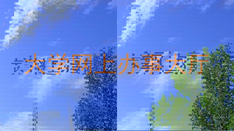 大学网上办事大厅