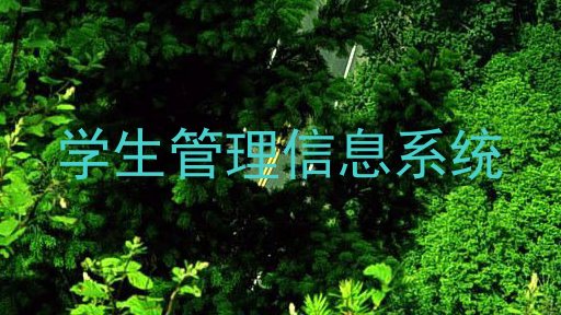学生管理信息系统