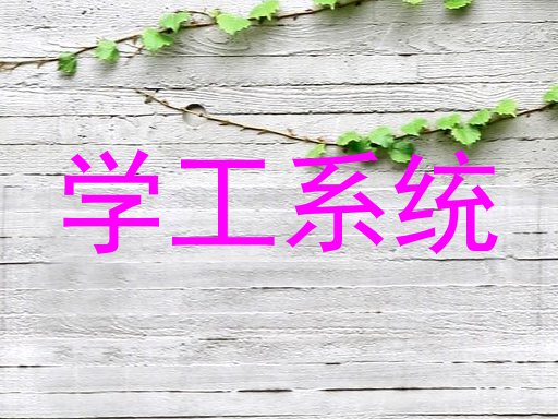 学工系统