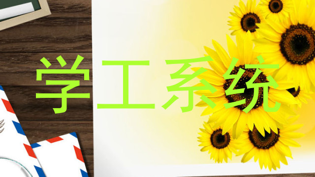 学工系统