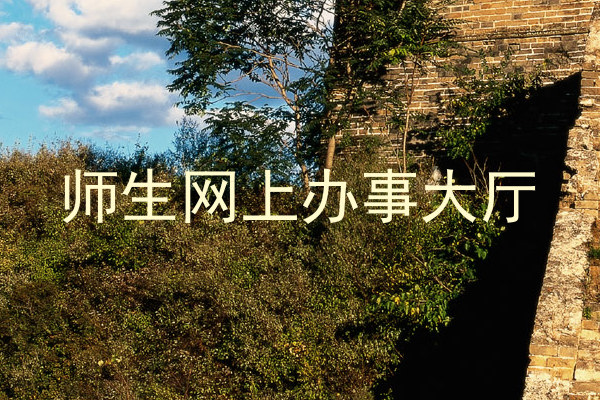 师生网上办事大厅