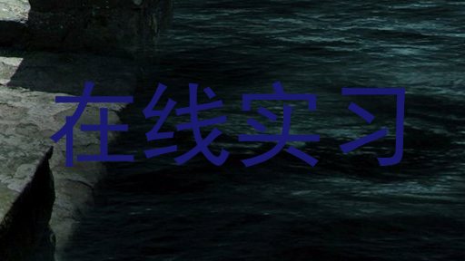 在线实习