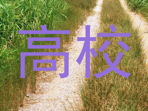 高校