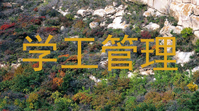 学工管理