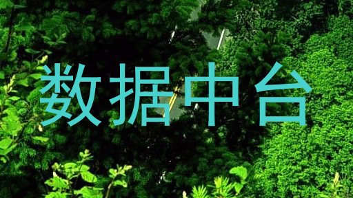 数据中台